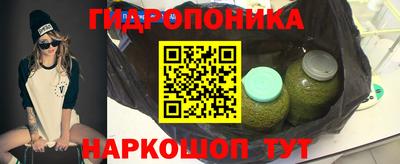 прущие крисы Ипатово