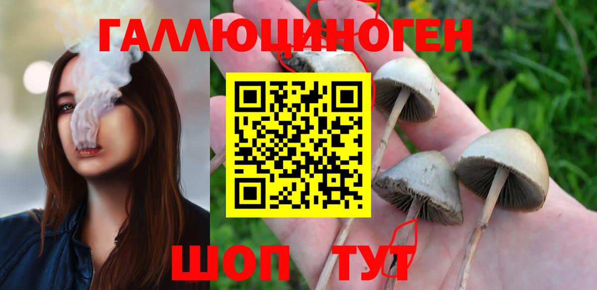 Псилоцибиновые грибы GOLDEN TEACHER Канск