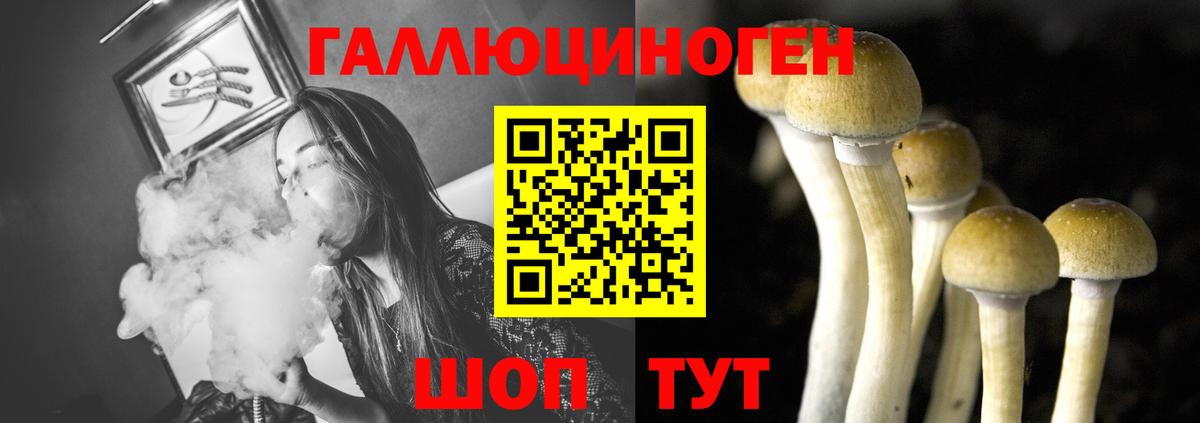 Галлюциногенные грибы Psilocybe  Вход с VPN  Канск 